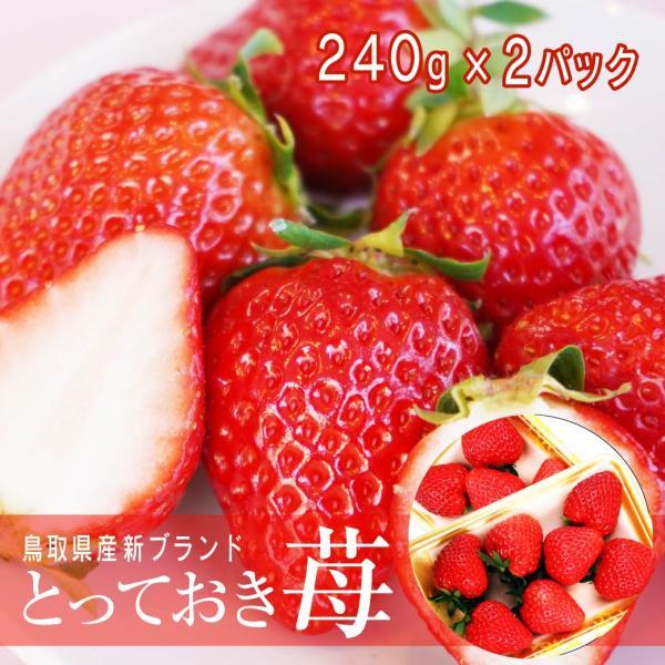 イチゴ とっておき 鳥取 苺 2P詰合せ 有機肥料 使用 産地直送 大粒苺  チョコ ギフト プレゼ...