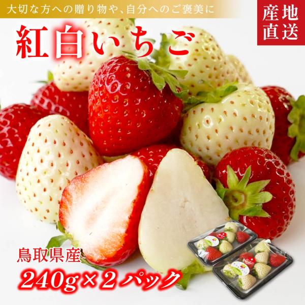イチゴ 紅白イチゴ とっておき 白いちご 鳥取 苺 2P詰合せ 有機肥料使用 産地直送 いちご ギフ...