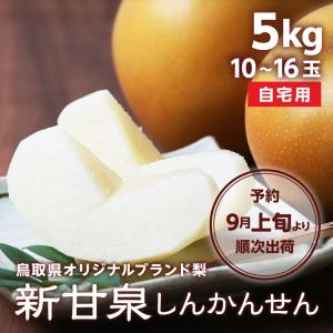 梨 新甘泉 予約 自宅用 5kg 10~16玉入...の商品画像