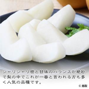 梨 新甘泉 予約 自宅用 5kg 10~16玉...の詳細画像4