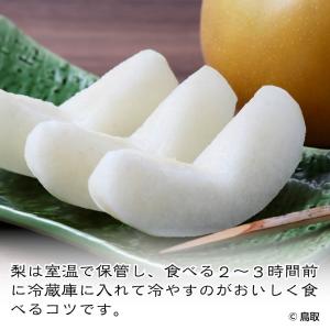 梨 新甘泉 予約 自宅用 5kg 10~16玉...の詳細画像5