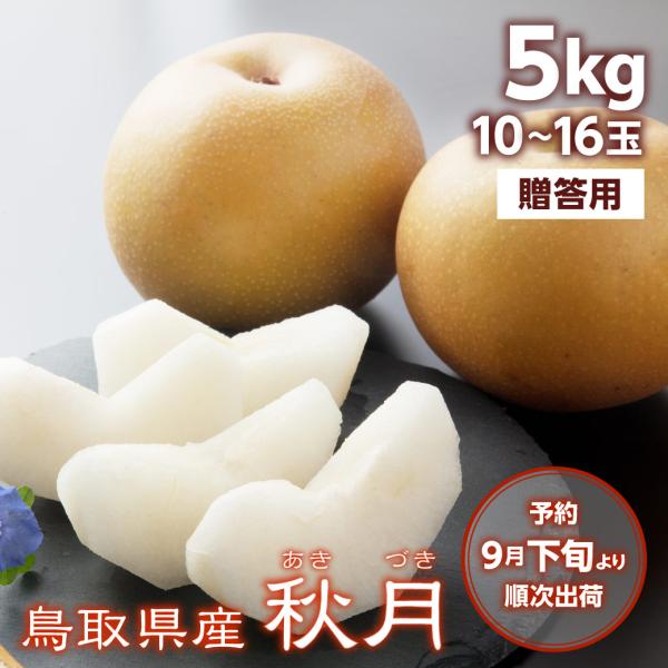 梨 秋月 5kg 10~16玉入 鳥取県産 あきづき 贈答用 進物用 ギフト 送料無料（北海道・沖縄...