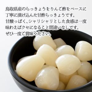 らっきょう リンゴ酢らっきょう 150g 1袋...の詳細画像1