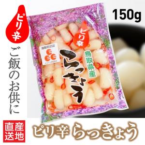 鳥取県産 浜田さんの鳥取砂丘らっきょう 10kg（砂付き 根付き 茎付き