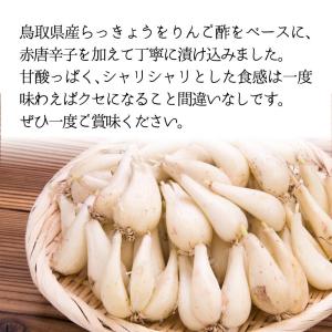 らっきょう らっきょう味噌 120g 1個 鳥...の詳細画像1