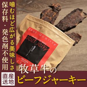 ビーフジャーキー 天狗 レギュラー 93g の王道かつ王様 テング 珍味