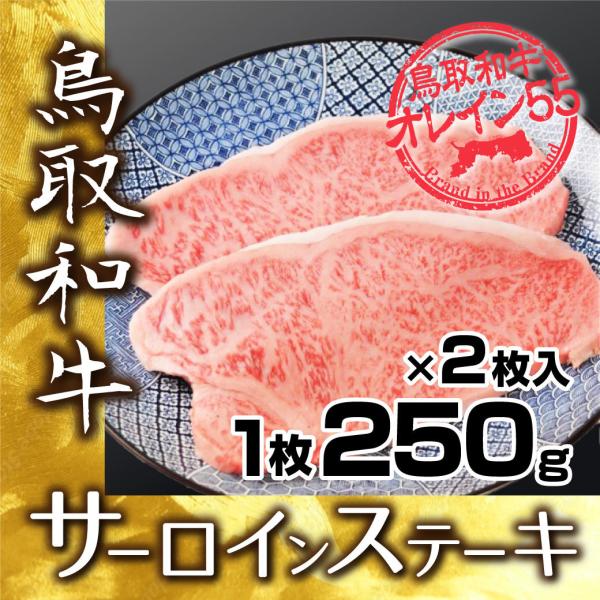 牛肉 ステーキ 国産 鳥取和牛 オレイン55 サーロインステーキ 肉  焼肉 500g (250g ...