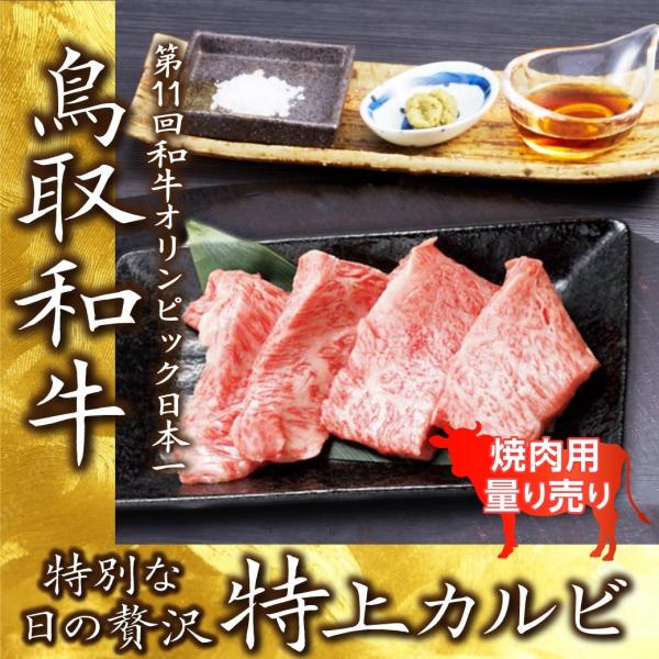 牛肉 焼肉 国産 特上カルビ 焼肉用 100g 量り売り BBQ  バーベキュー 鉄板焼き 鳥取 産...