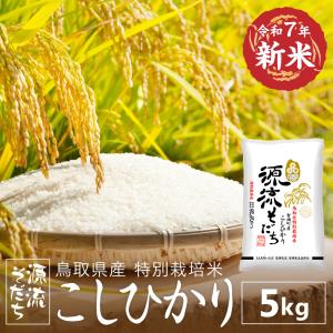 令和7年産 新米 星空舞 鳥取県産 5kg 特A 米 お米 白米 R7 送料無料