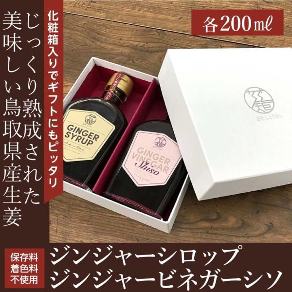 夏 ギフトプレゼント 飲むお酢 夏バテ  お祝い 2024 誕生日  ジンジャー ジンジャービネガー...