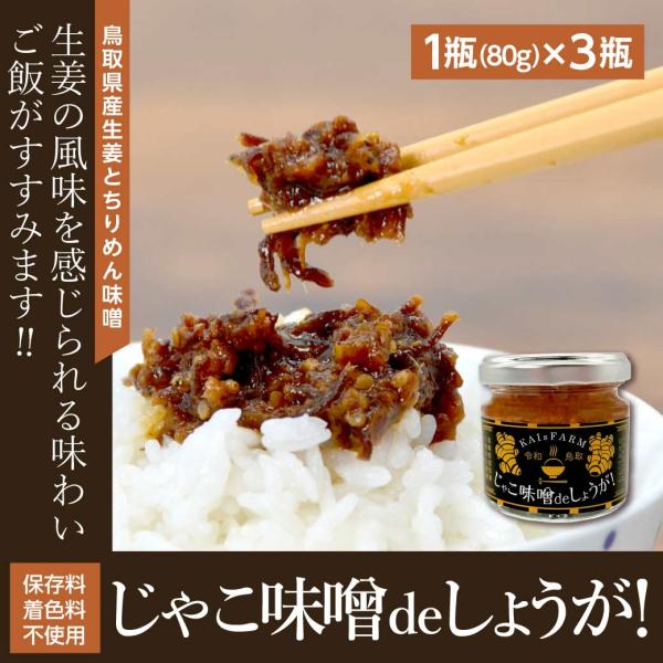 生姜 じゃこ味噌deしょうが! 3瓶セット 1瓶(80ｇ) ご飯のお供 鳥取県産 国産 無添加 じゃ...