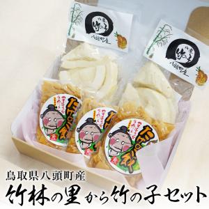 たけのこ 水煮　200g 2パック たけのこ飯 2合用 3パック セット タケノコ 筍  お手軽 産地直送 鳥取 国産 送料無料（北海道・沖縄を除く）