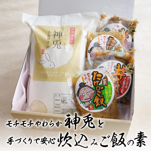 父の日 ギフト プレゼント 鳥取県八頭町特産品セット お米 「神兎」 きぬむすめ たけのこ飯 きのこ...