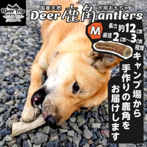 ク*ト様 鹿の角 犬のおもちゃ 工芸品などにどうぞ ２２番 鹿の角 犬用 1本 Sサイズ 天然 無添加 鳥取県産 おやつ 自然 おもちゃ