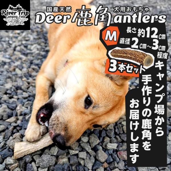 鹿の角 犬用 3本 Mサイズ 天然 無添加 鳥取県産 おやつ 自然 おもちゃ 鹿角 送料無料（北海道...
