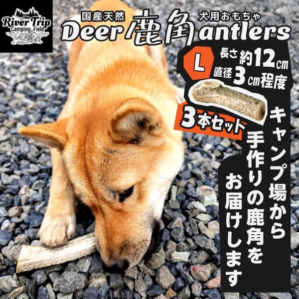 鹿の角 犬用 3本 Lサイズ 天然 無添加 鳥取県産 おやつ 自然 おもちゃ 鹿角 送料無料（北海道...