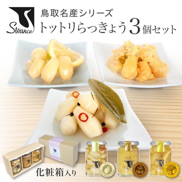 らっきょう ギフト トットリらっきょう食べくらべ3瓶セット swance カレー 鳥取 免疫力アップ...