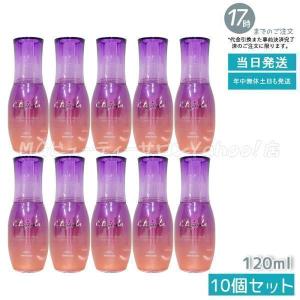 episteme エピステーム アイパーフェクトショットa 18g アイ