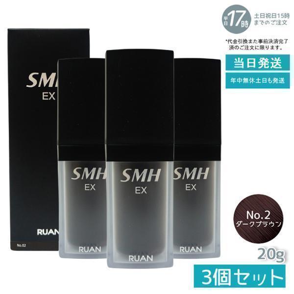 ルアン スーパーミリオンヘアーEX 20g No.2ダークブラウン 3個セット 白髪 対策 ふりかけ...