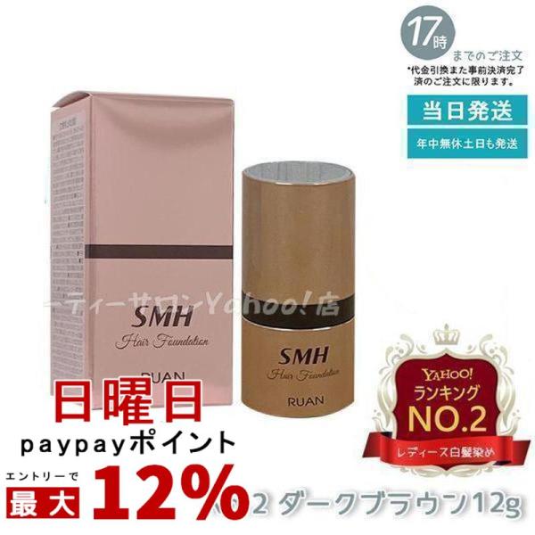 ルアン SMH ヘアファンデーション 12g No.2 ダークブラウン 髪 頭 薄毛隠し薄毛 分け目...