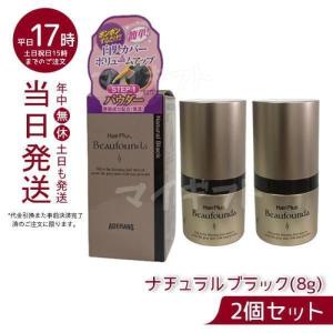 ヘアプラス ビューファンデパウダー ナチュラルブラック 8g お得2個セット 送料無料 女性用 白髪染め 薄毛隠し 白髪隠し ポンポン ブラック｜mygift