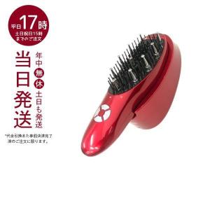 ハイブリット美容デンキブラシ アデランス Aderans HairRepro