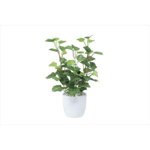 風水 玄関 観葉植物 アイビー 人工観葉 フェイクグリーン の商品一覧 花 ガーデニング 通販 Yahoo ショッピング