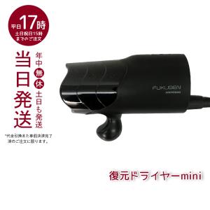 LOUVREDO 復元ドライヤー mini LJ-365C1 ブラック 1年間メーカー保証有