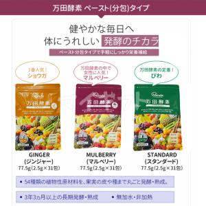万田酵素 ペーストタイプ GINGER ジンジ...の詳細画像2