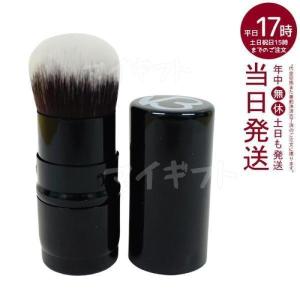 スピケア SPICARE V3セット アップ パウダーブラシ パウダー用ブラシ SPICARE V3 set up powder brush