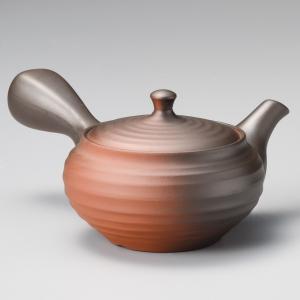 急須 きゅうす ティーポット 網目が『とても細かい』急須です 常滑焼急須 機能急須/Hiメッシュ 晶...