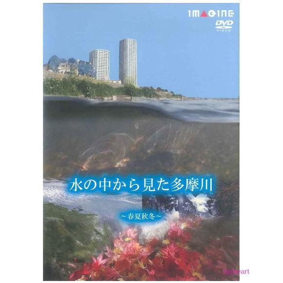 水の中から見た多摩川　春夏秋冬（ＤＶＤ）