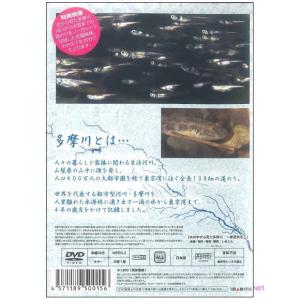 水の中から見た多摩川 春夏秋冬(DVD)の詳細画像1
