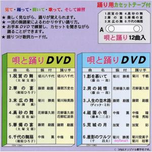 唄と踊り 振りつき音多カラオケ OVシリーズ13の詳細画像1