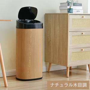 自動開閉ゴミ箱 45L 大容量 送料無料 縦型...の詳細画像4