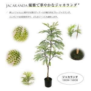 【全品10%OFF】【ユーカリ 180cm】フ...の詳細画像4
