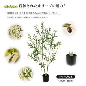 【ジャカランダ 100cm】フェイクグリーン ...の詳細画像2