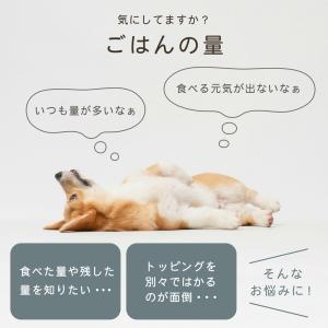 ちょうどイイがわかる「イークイップリ」KS-7...の詳細画像2