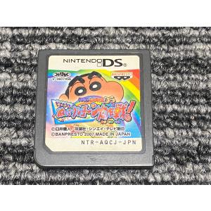 任天堂（Nintendo） DS ソフト パワプロクン ポケット 9 DS : マイ