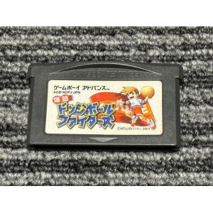 ゼルダの伝説 ふしぎのぼうし/ゲームボーイアドバンス(GBA)/ソフトのみ