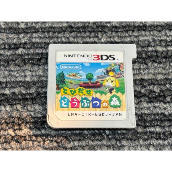 任天堂 3DS ソフト とびだせ どうぶつの森
