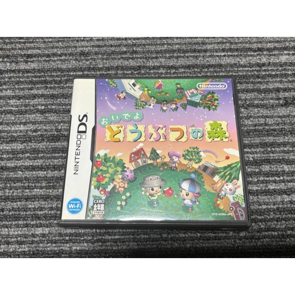 任天堂 DS ソフト おいでよ どうぶつの森 ケース付き （4）