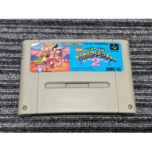 任天堂（Nintendo） ゲームキューブ ソフト ピクミン2 GC ケース付き