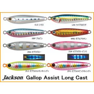 ジャクソン ギャロップ アシスト ロングキャスト 10g 35mm ギャロップアシストロングキャスト