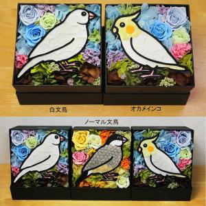 フラワーバードBOX プリザーブドフラワー ギ...の詳細画像1