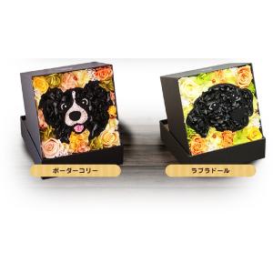 アニマルボックス(エクセレントくろ組) プリザ...の詳細画像3