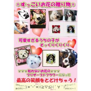 プリザーブドフラワー マイペットフラワー(2匹...の詳細画像1