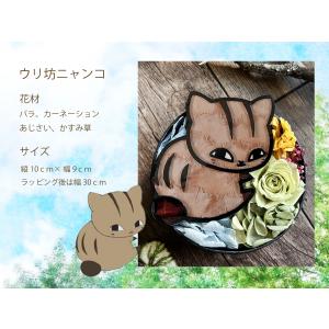 母の日 2026 プリザーブドフラワー 夏目友...の詳細画像5