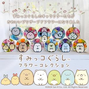 すみっコぐらし フラワーコレクション プリザー...の詳細画像1