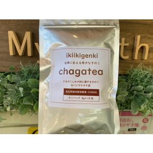 ikiikigenki chagatea チャーガ茶　カバノアナタケ茶　さるのこしかけ科　きのこ　シ...